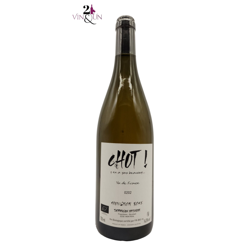 Dry White Wine - Organic Wine - 2020 - Vin de France - Chut - Dominique Andiran - 75 cl bottle