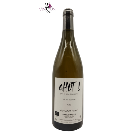 Dry White Wine - Organic Wine - 2020 - Vin de France - Chut - Dominique Andiran - 75 cl bottle