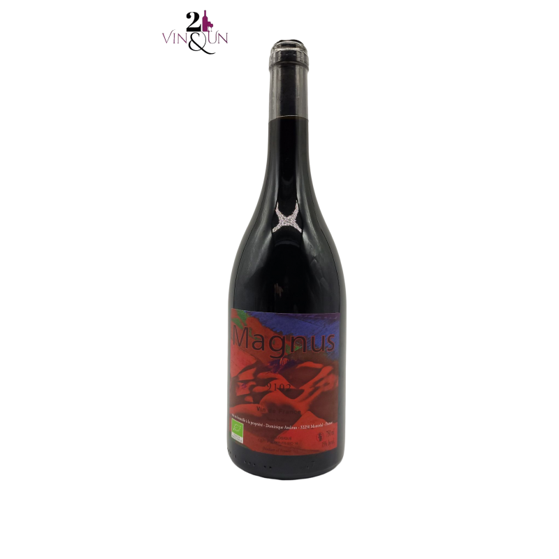 Red wine - Organic wine - 2019 - Vin de France - Magnus - Dominique Andiran - 75 cl bottle